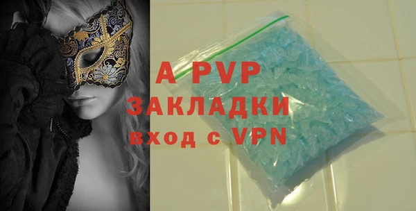 крисы Бородино