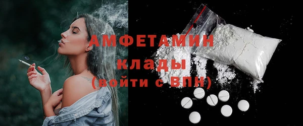 крисы Бородино