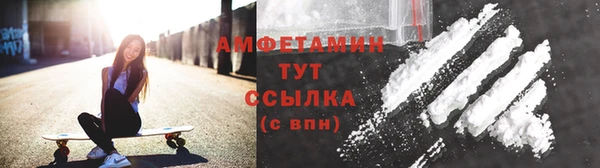 крисы Бородино