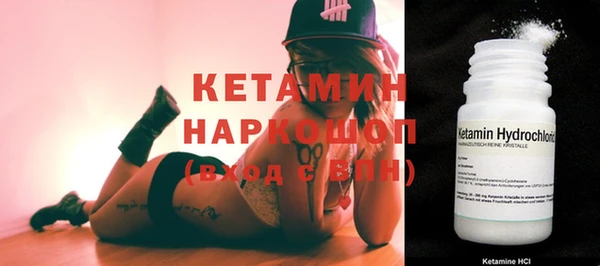 крисы Бородино