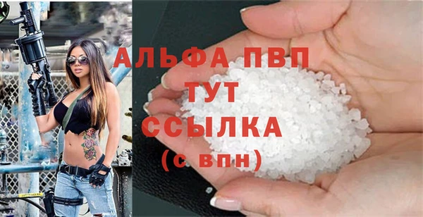 крисы Бородино