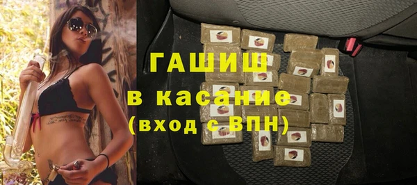 крисы Бородино