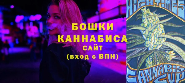 крисы Бородино