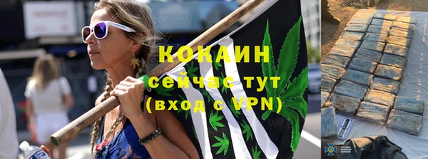 крисы Бородино