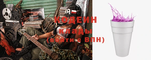 крисы Бородино