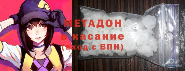 крисы Бородино