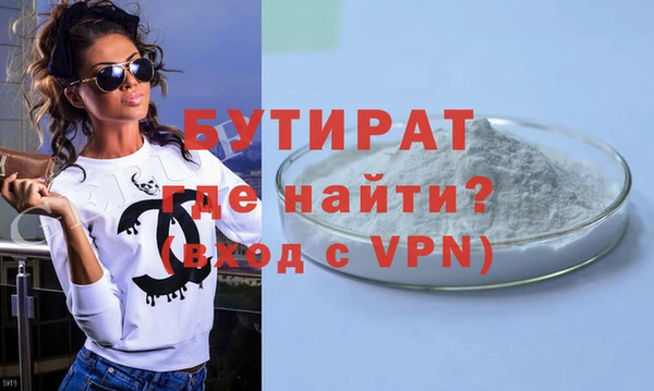 крисы Бородино